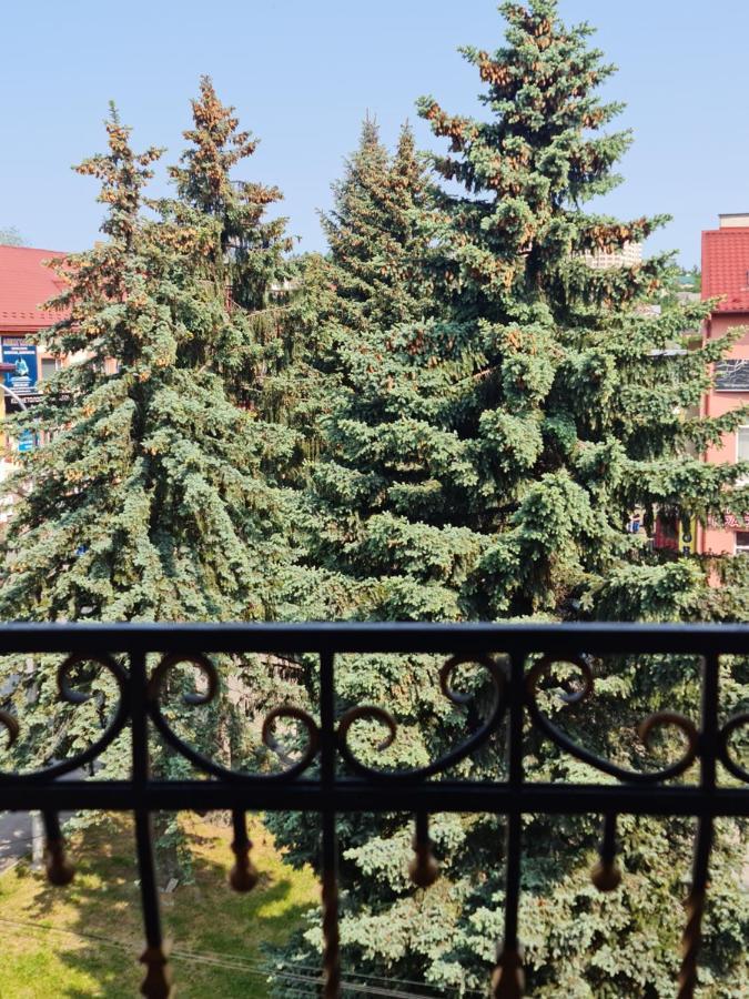 Hotel Villa Sofia Truskavets Bagian luar foto