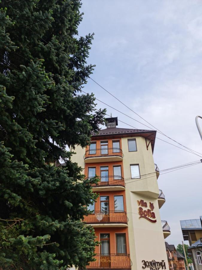 Hotel Villa Sofia Truskavets Bagian luar foto