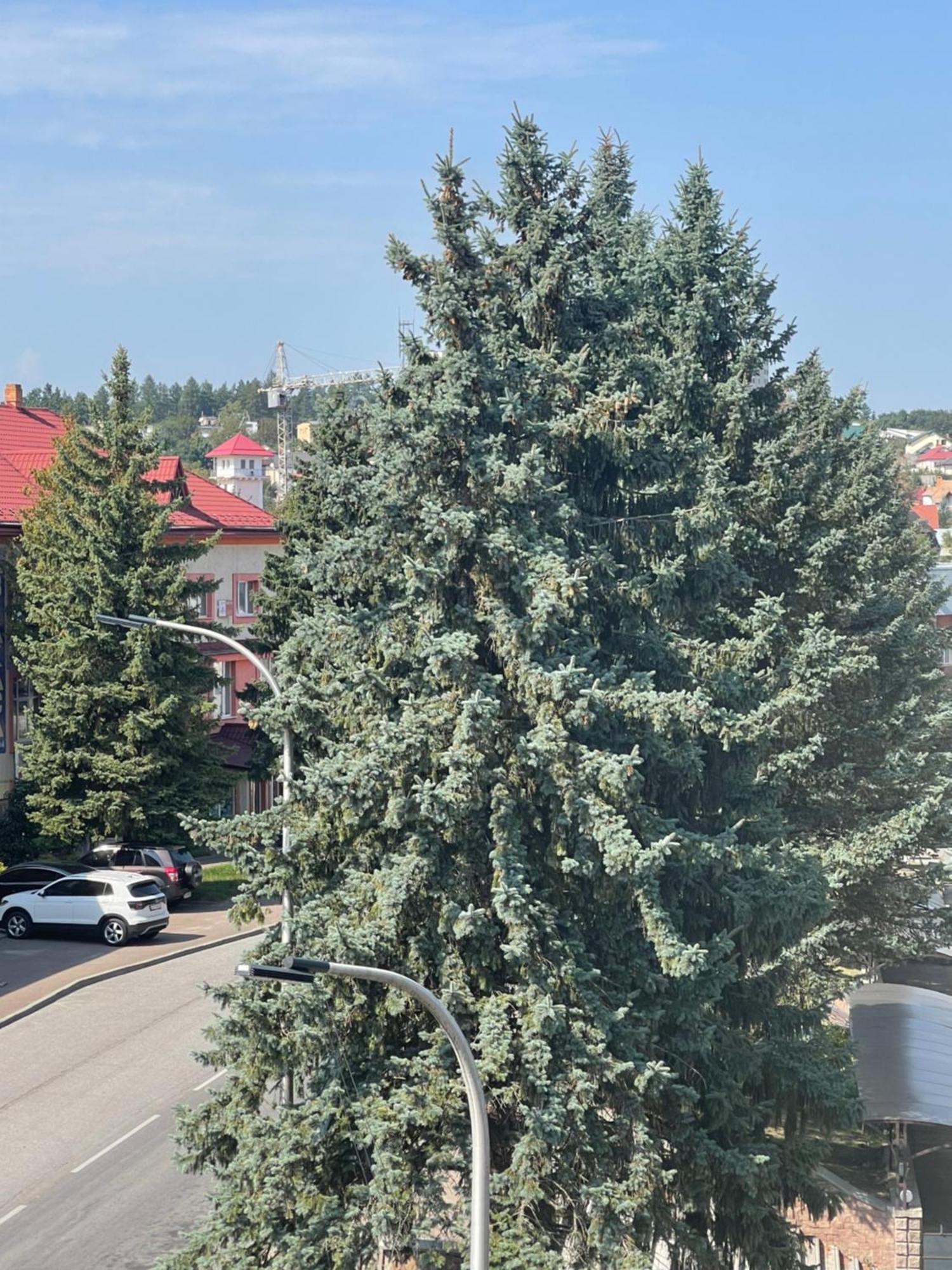 Hotel Villa Sofia Truskavets Bagian luar foto