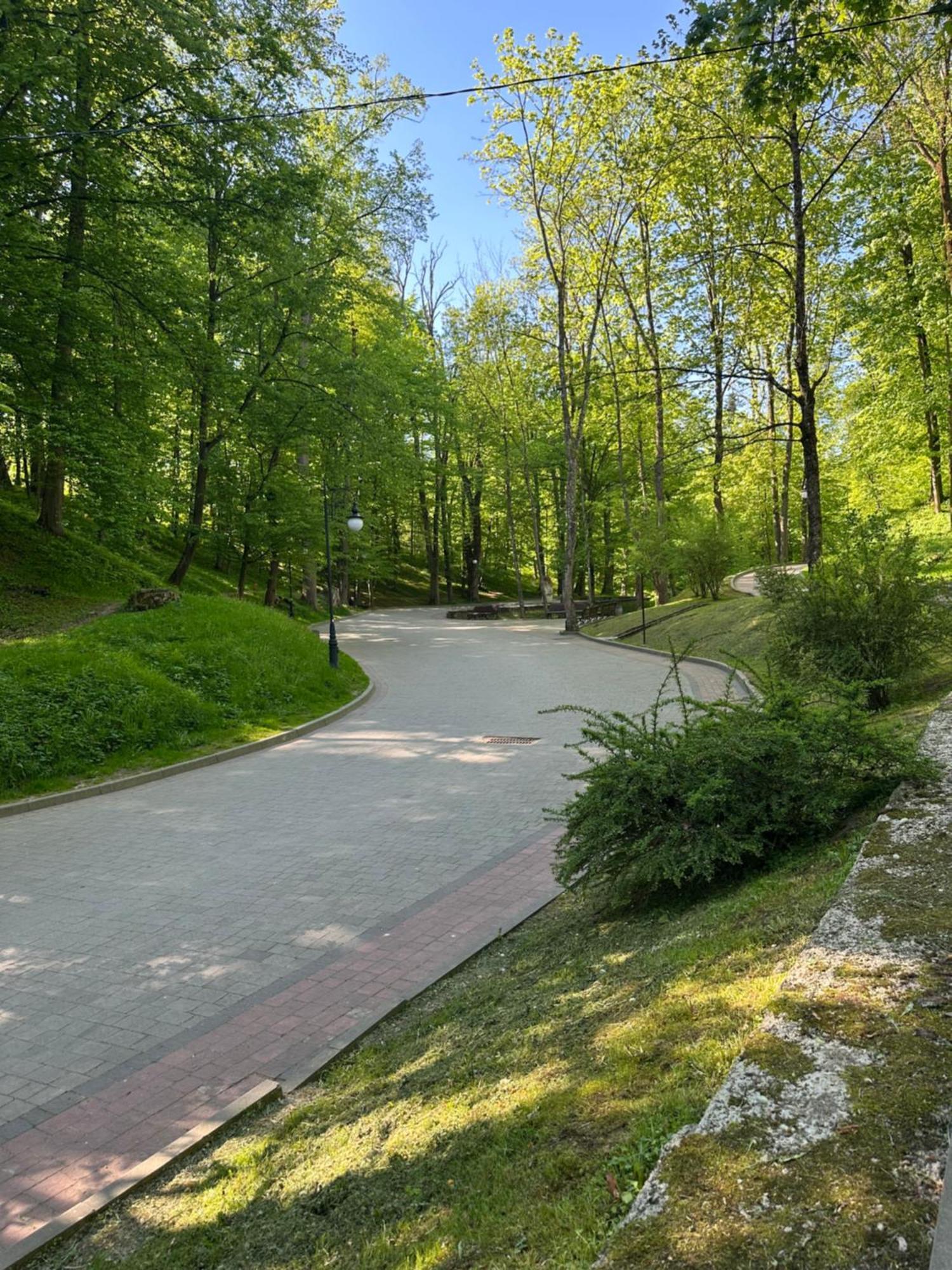 Hotel Villa Sofia Truskavets Bagian luar foto